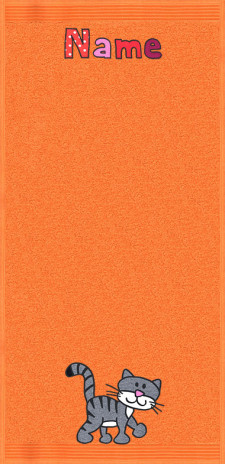 Katze Schnurrli auf orange