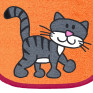 Katze Schnurrli auf orange