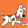 Hund Flecki auf orange
