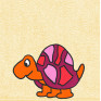 Schildkröte auf abricot
