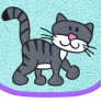 Katze Schnurrli auf aqua